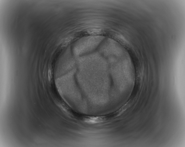 X0000086280130200704262044