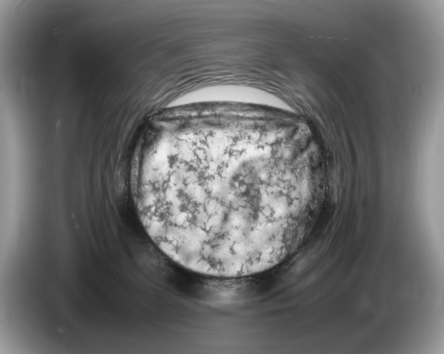 X0000086280131200704262044