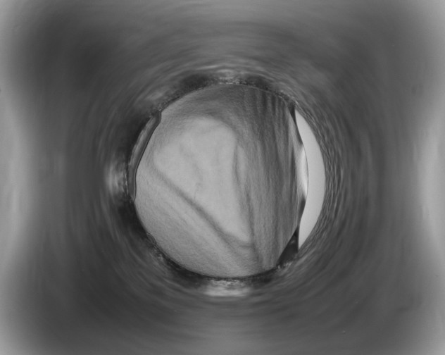 X0000086280137200704262044
