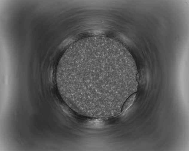 X0000086280140200704262044