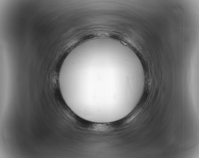 X0000086280141200704262044