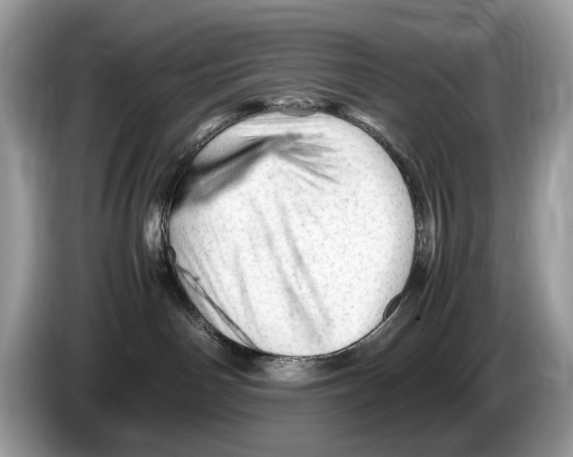 X0000086280142200704262043