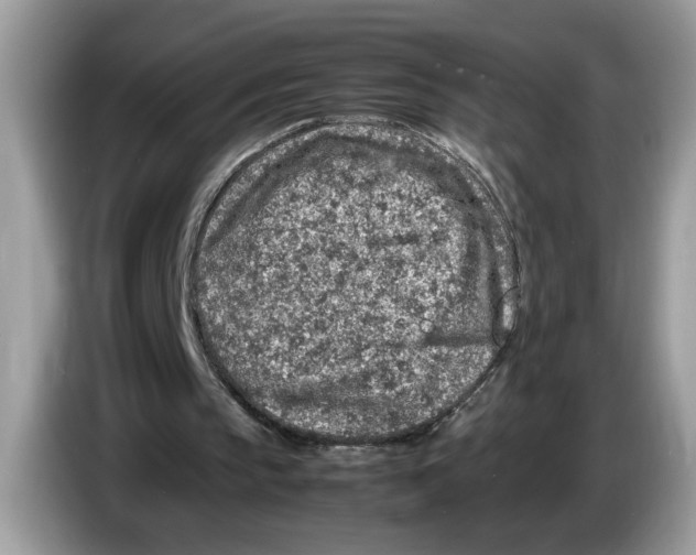 X0000086280145200704262043