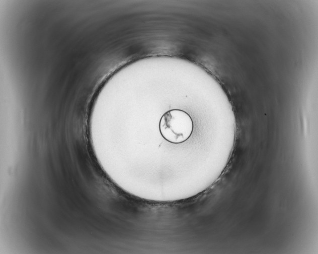 X0000086280146200704262043