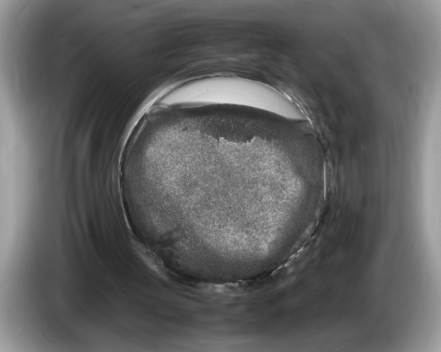 X0000086280147200704262043