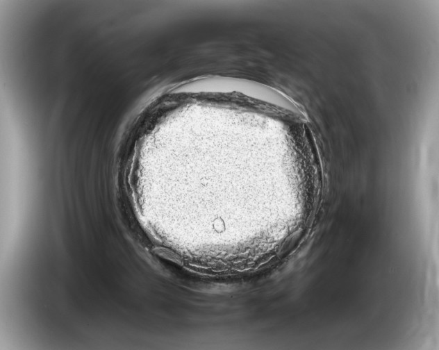 X0000086280149200704262043