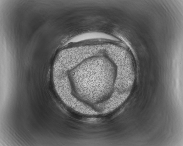 X0000086280153200704262043