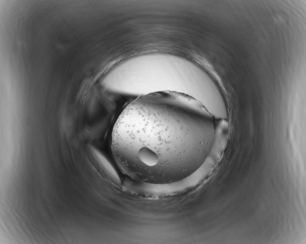 X0000086280154200704262043