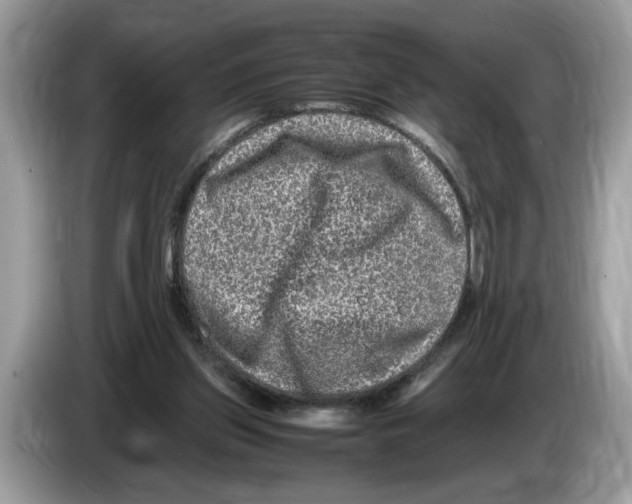X0000086280157200704262043