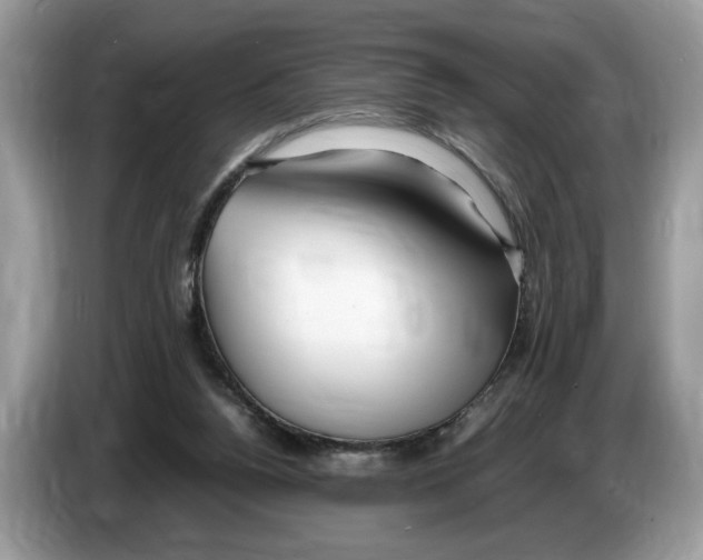 X0000086280160200704262043