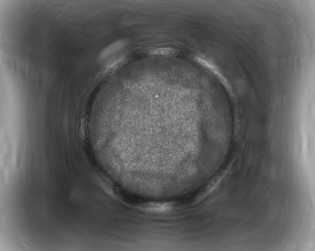 X0000086280161200704262043