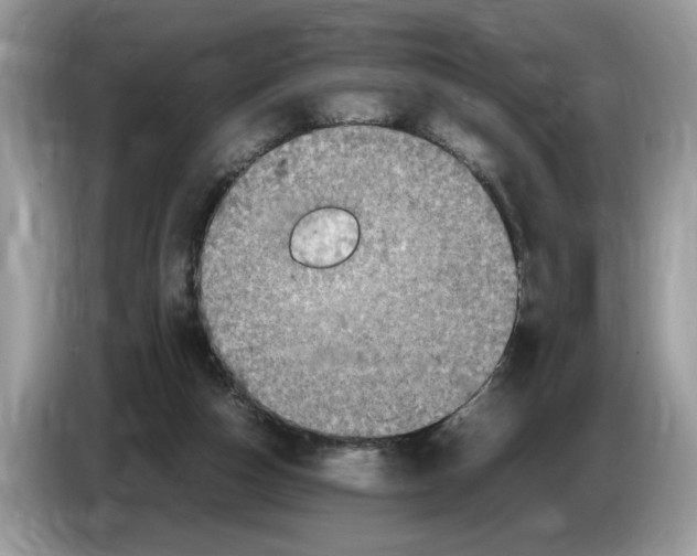 X0000086280162200704262043