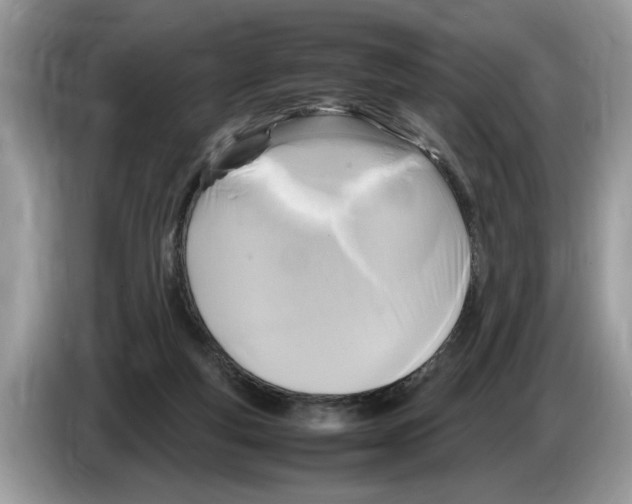 X0000086280163200704262043