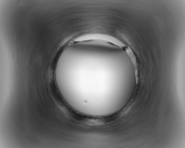 X0000086280164200704262043
