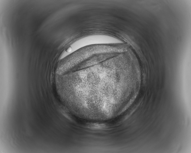 X0000086280165200704262043