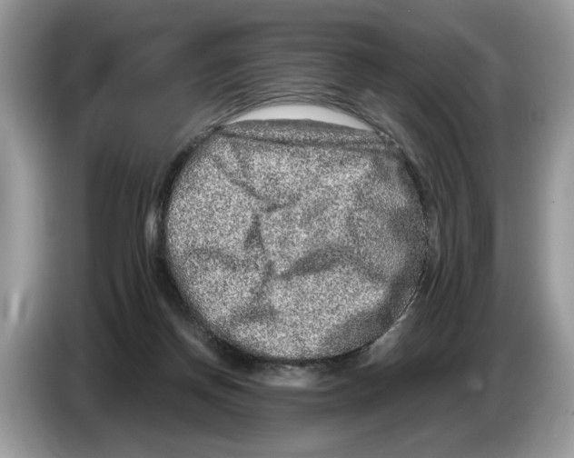 X0000086280166200704262043