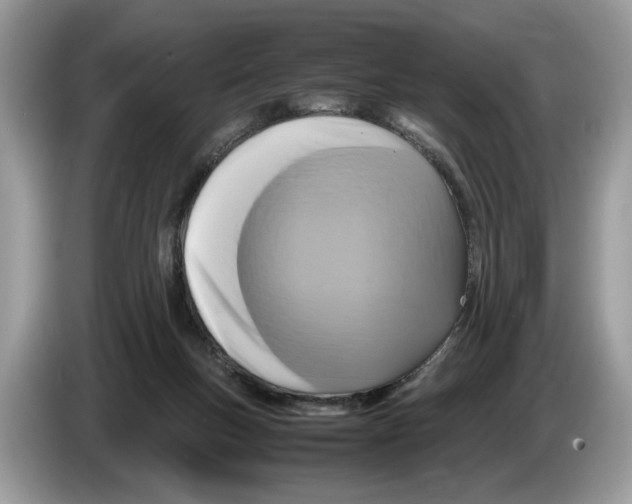 X0000086280167200704262043