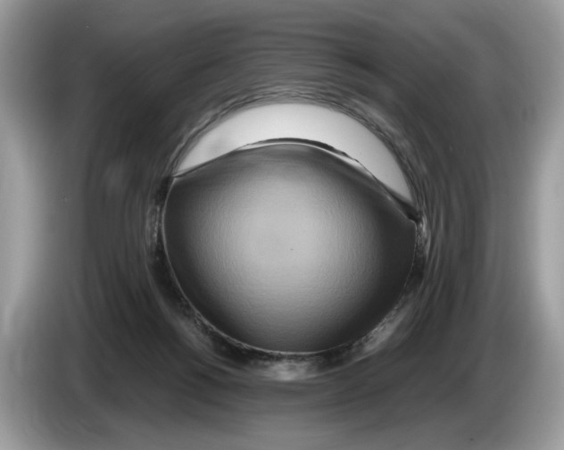 X0000086280168200704262043