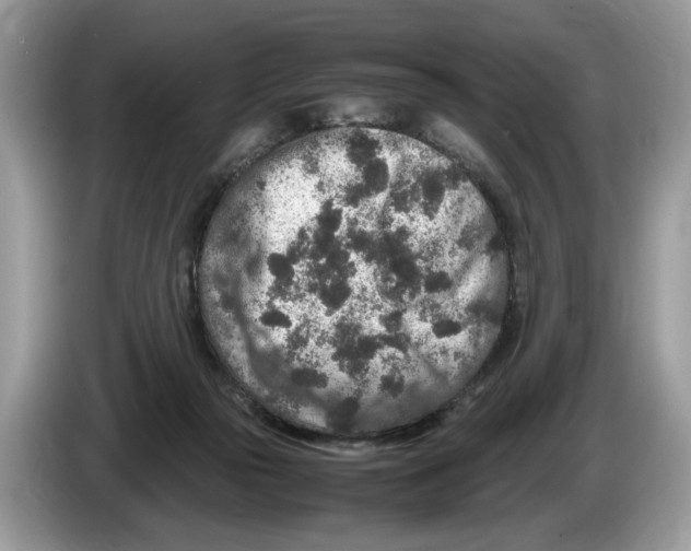 X0000086280169200704262043