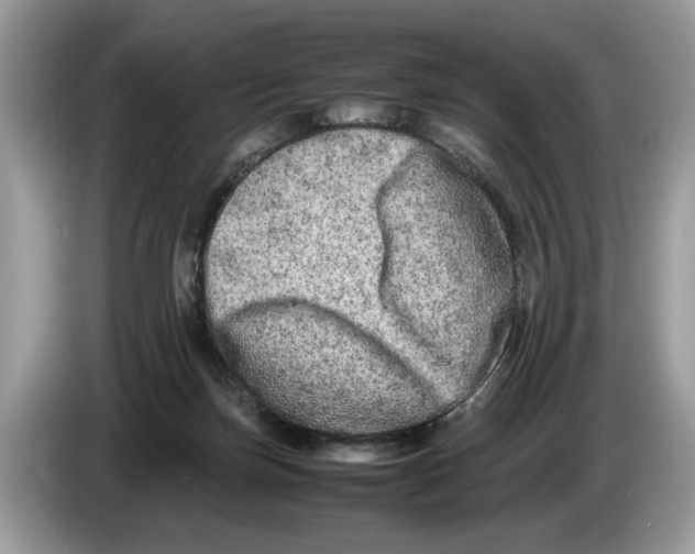 X0000086280171200704262043