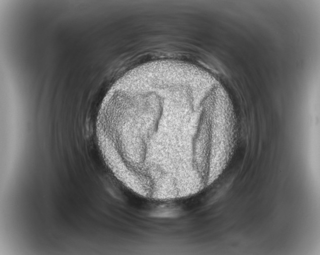 X0000086280173200704262043