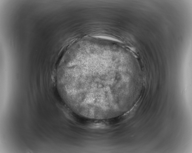 X0000086280175200704262043