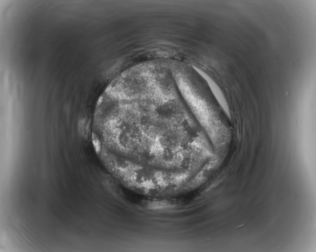 X0000086280177200704262043