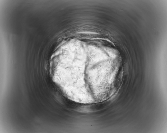 X0000086280178200704262043