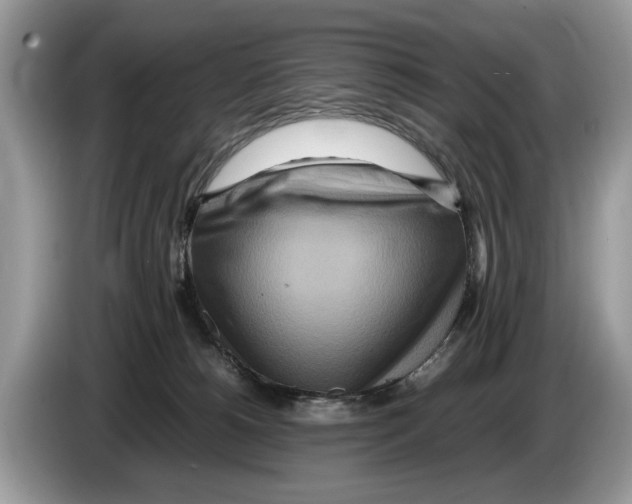 X0000086280180200704262043
