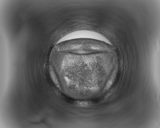 X0000086280181200704262043