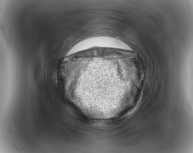 X0000086280182200704262043