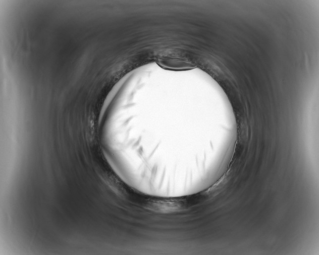 X0000086280183200704262043