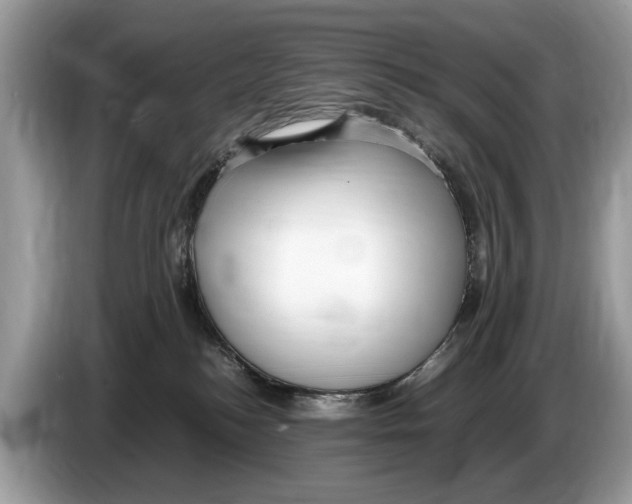 X0000086280184200704262043