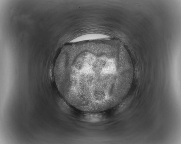 X0000086280185200704262043