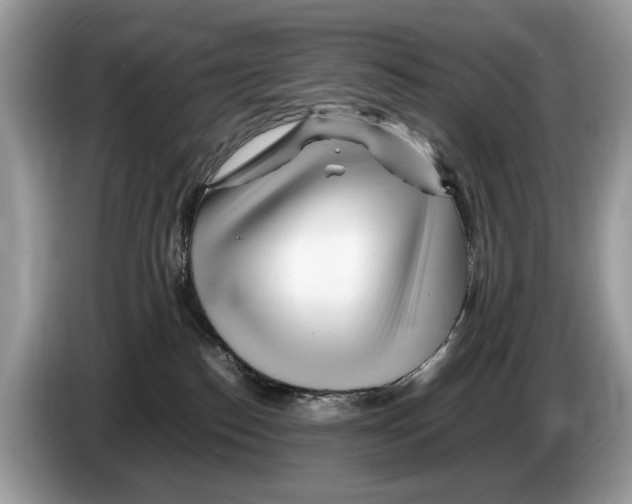 X0000086280186200704262043
