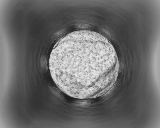 X0000086280187200704262043