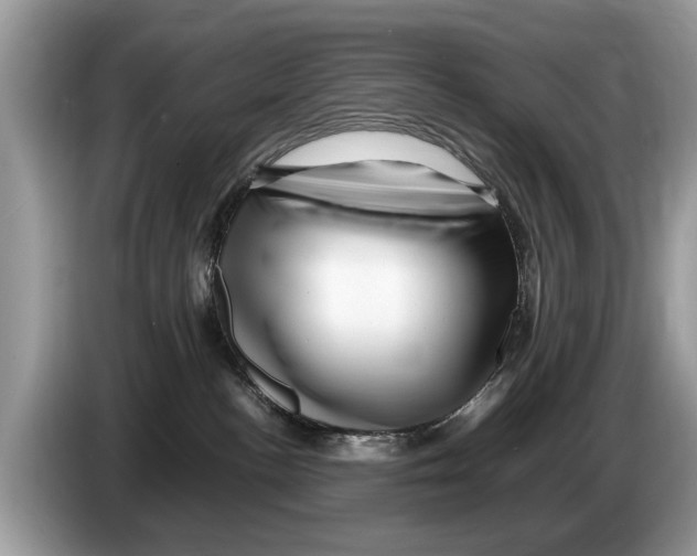 X0000086280188200704262043