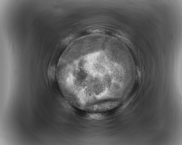 X0000086280189200704262043