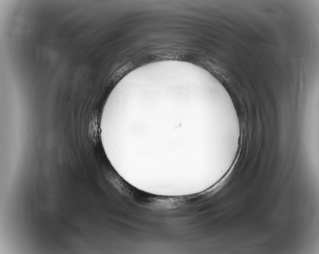 X0000086280190200704262043