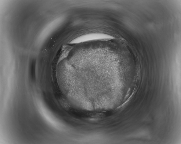 X0000086280191200704262043