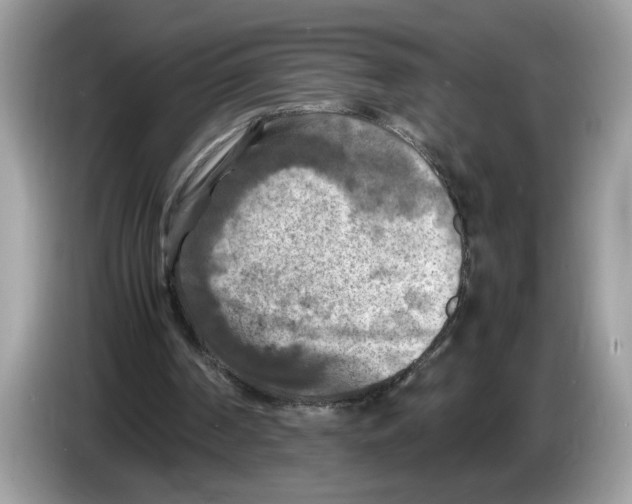 X0000086280194200704262043