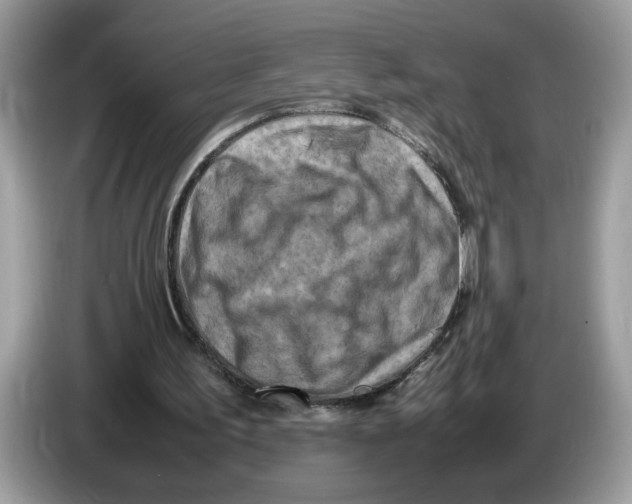 X0000086280195200704262043