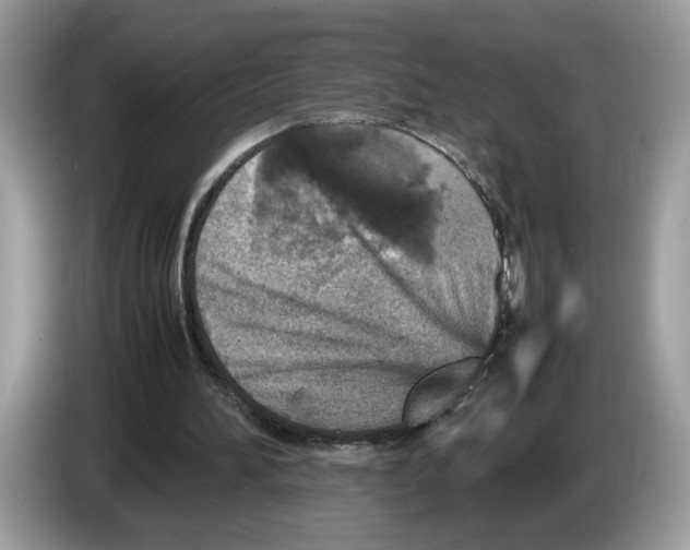 X0000086280196200704262043