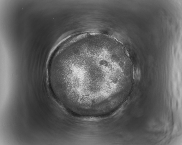 X0000086280198200704262043
