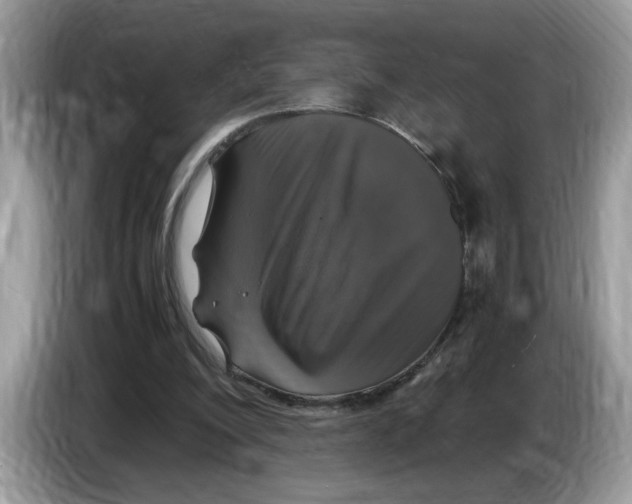 X0000086280200200704262043
