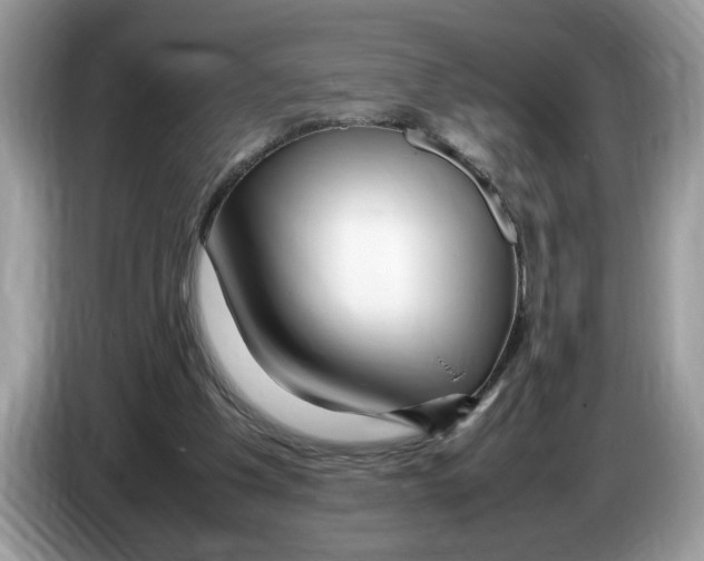 X0000086280201200704262043