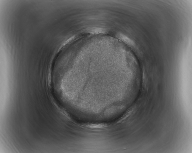 X0000086280202200704262043