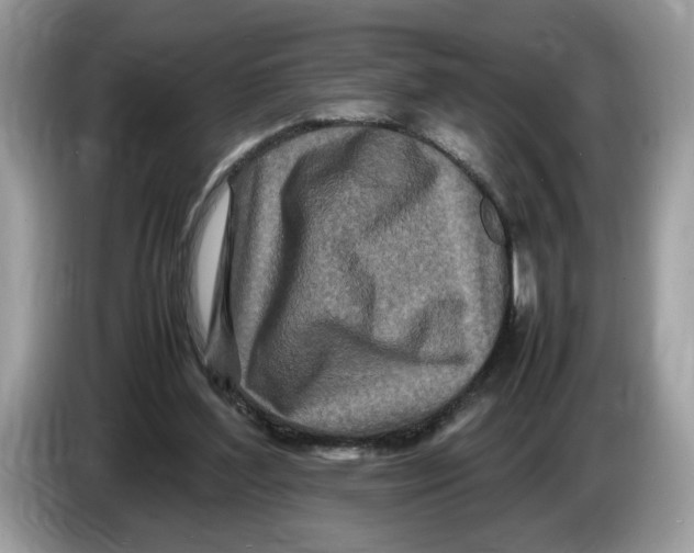 X0000086280204200704262043