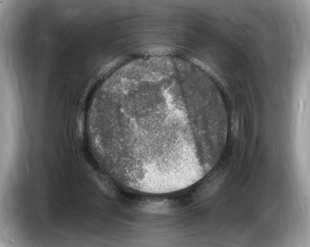 X0000086280206200704262043