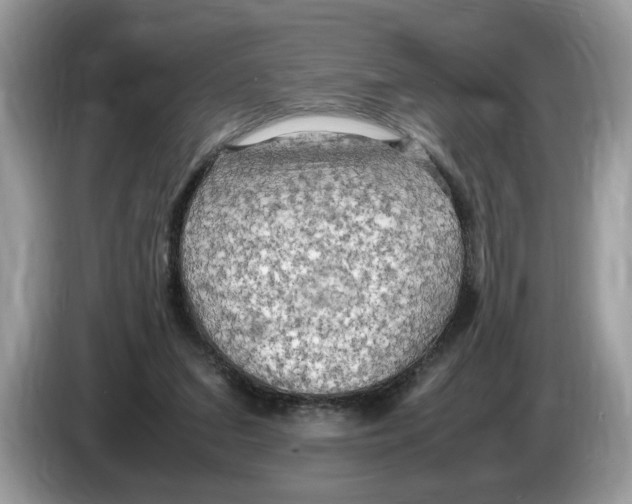 X0000086280207200704262043
